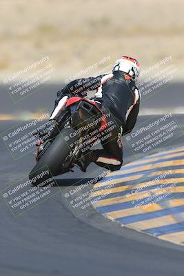 media/May-13-2023-SoCal Trackdays (Sat) [[8a473a8fd1]]/Turn 11 Backside (945am)/